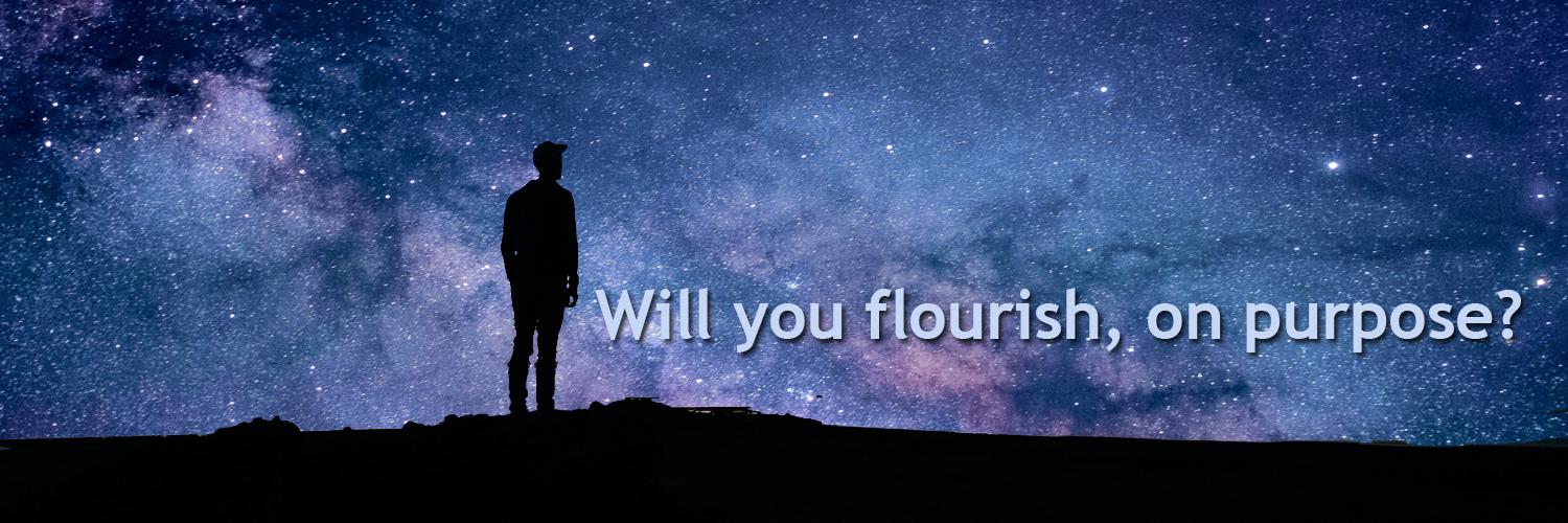 FlourishPurpose's profile banner image