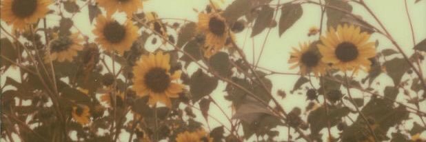 CinthiaMicaele's profile banner image