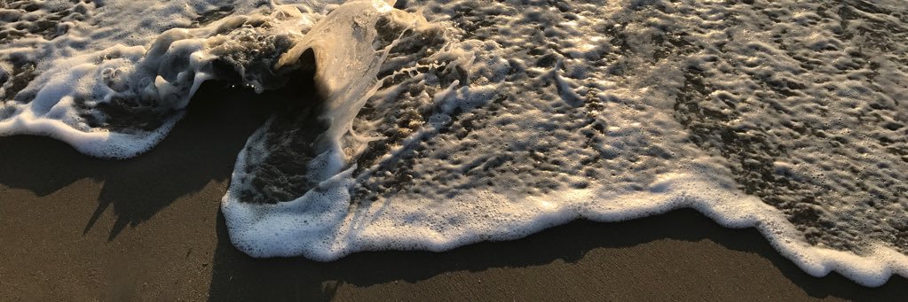 stephaneyney's profile banner image