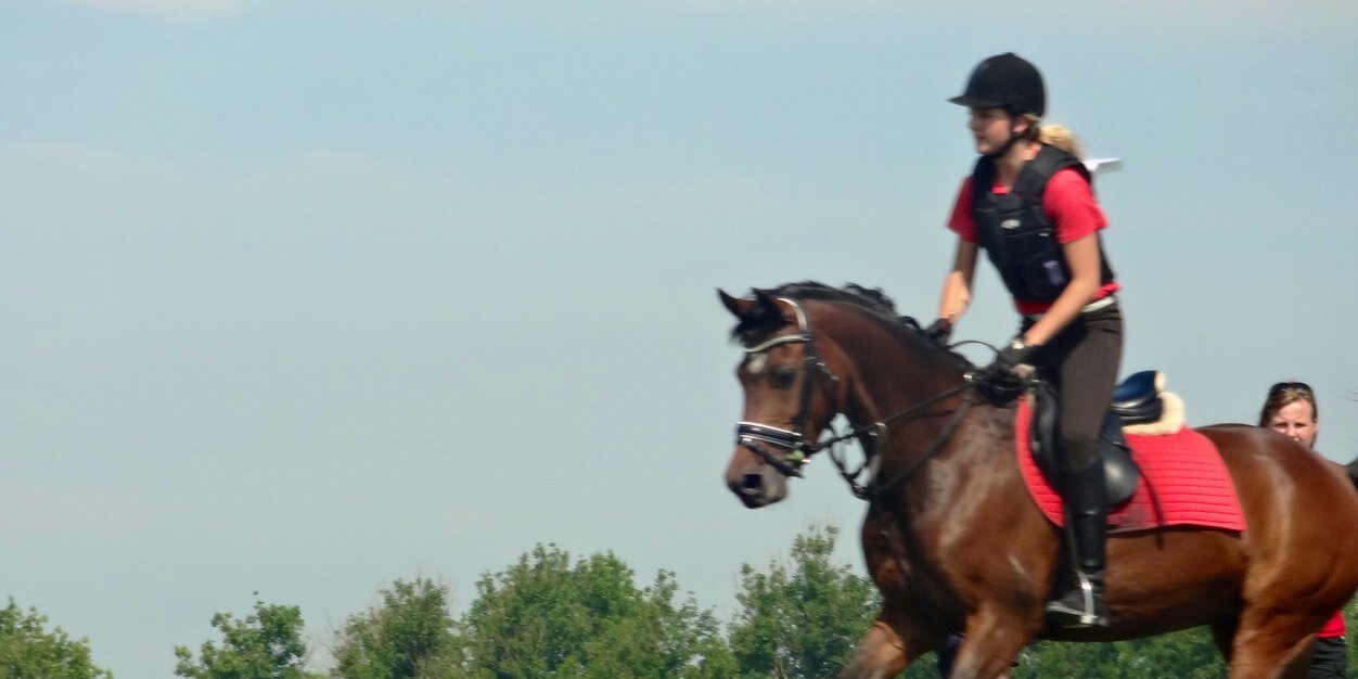 Angeliquesx's profile banner image