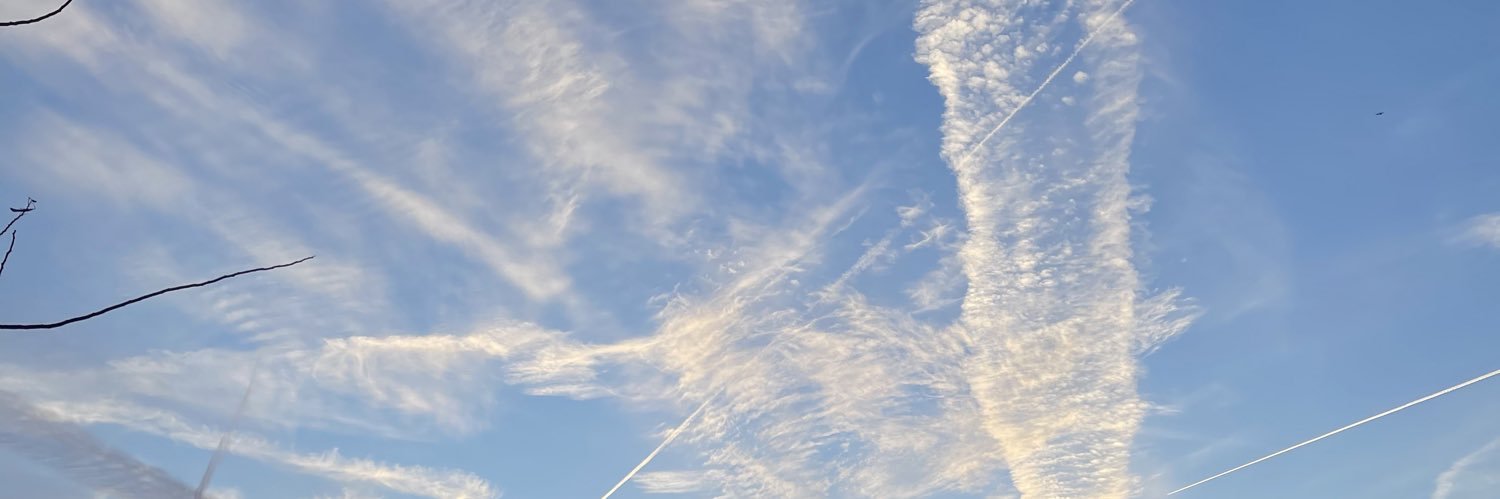 Vanessa Collado banner