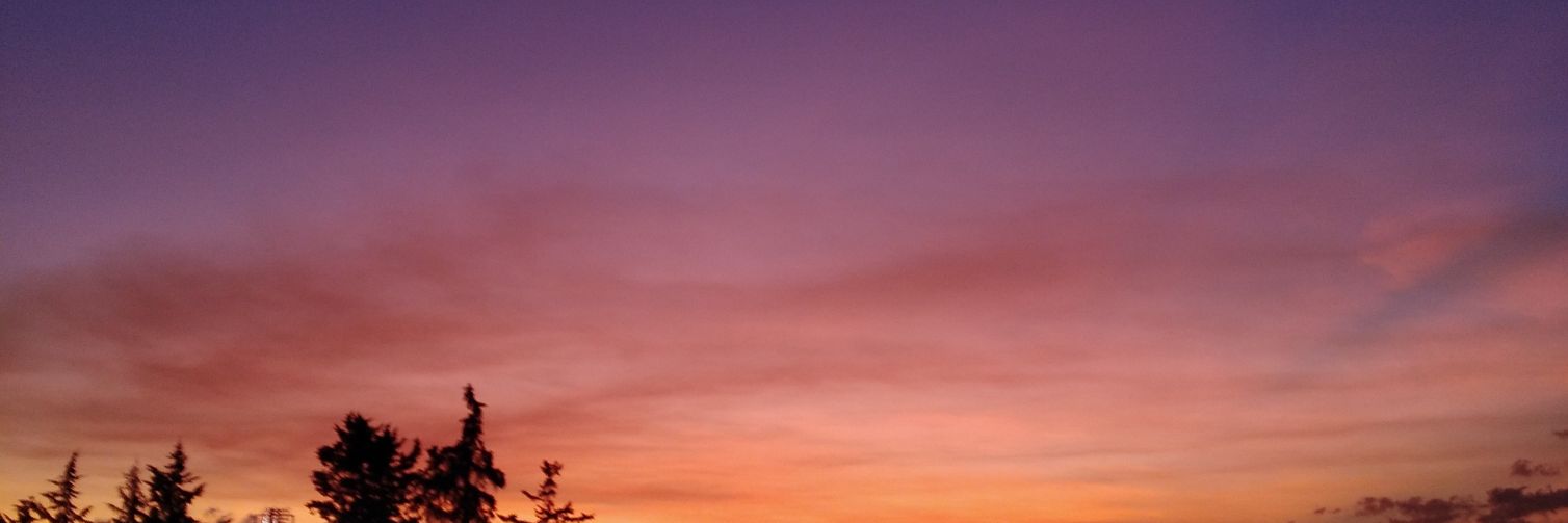 DM Beltranvargas banner