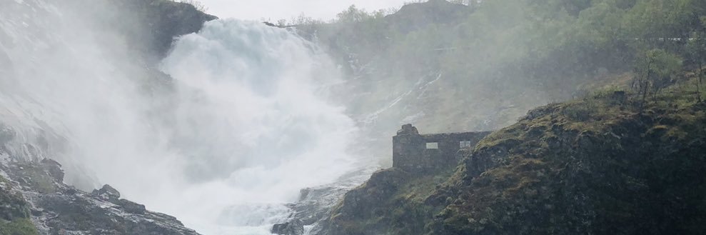 Lisa Harkness banner