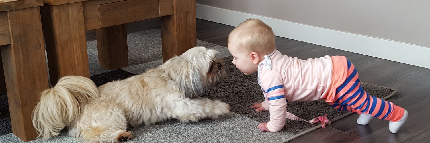 tiny_postma's profile banner image