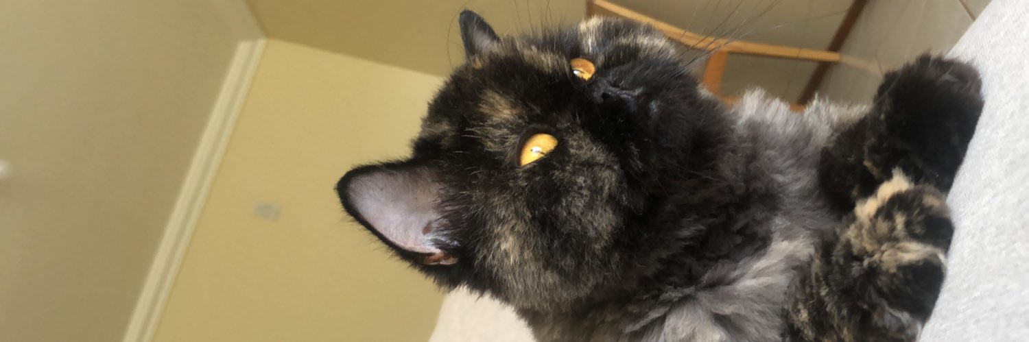 JcbRossetto's profile banner image