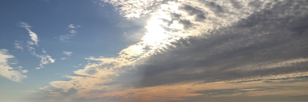 Clara_Renee's profile banner image
