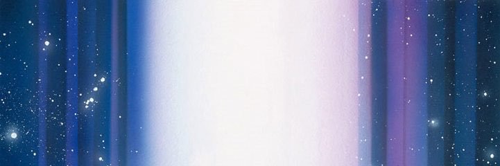 Leo banner