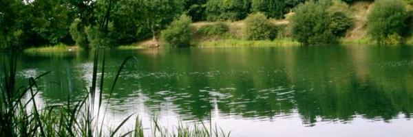 11aceshigh Profile Banner