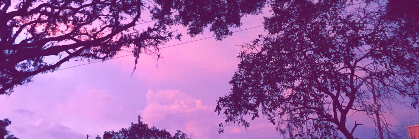 haileyrambadt's profile banner image