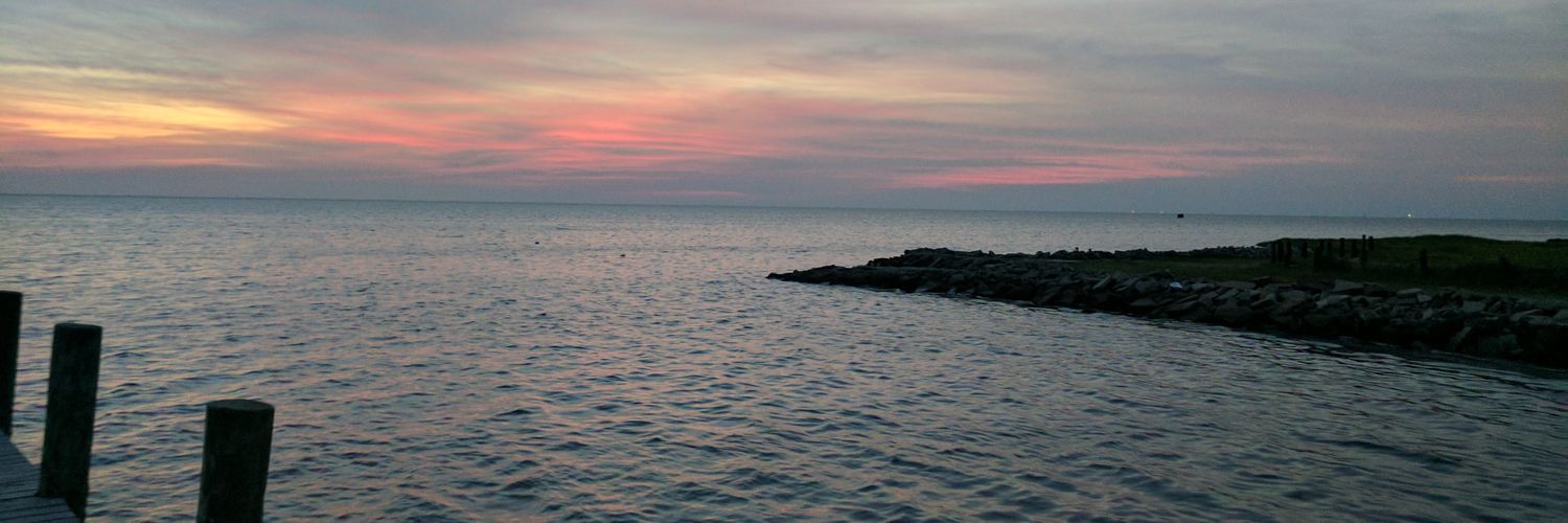 ninniger's profile banner image