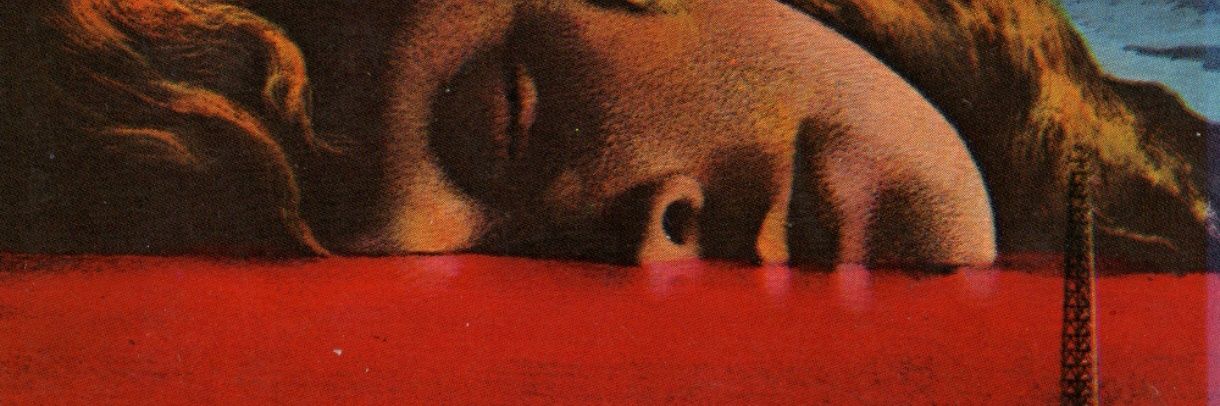 elpacalle's profile banner image