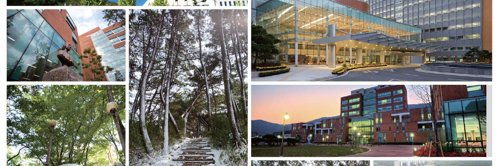 PNU International banner