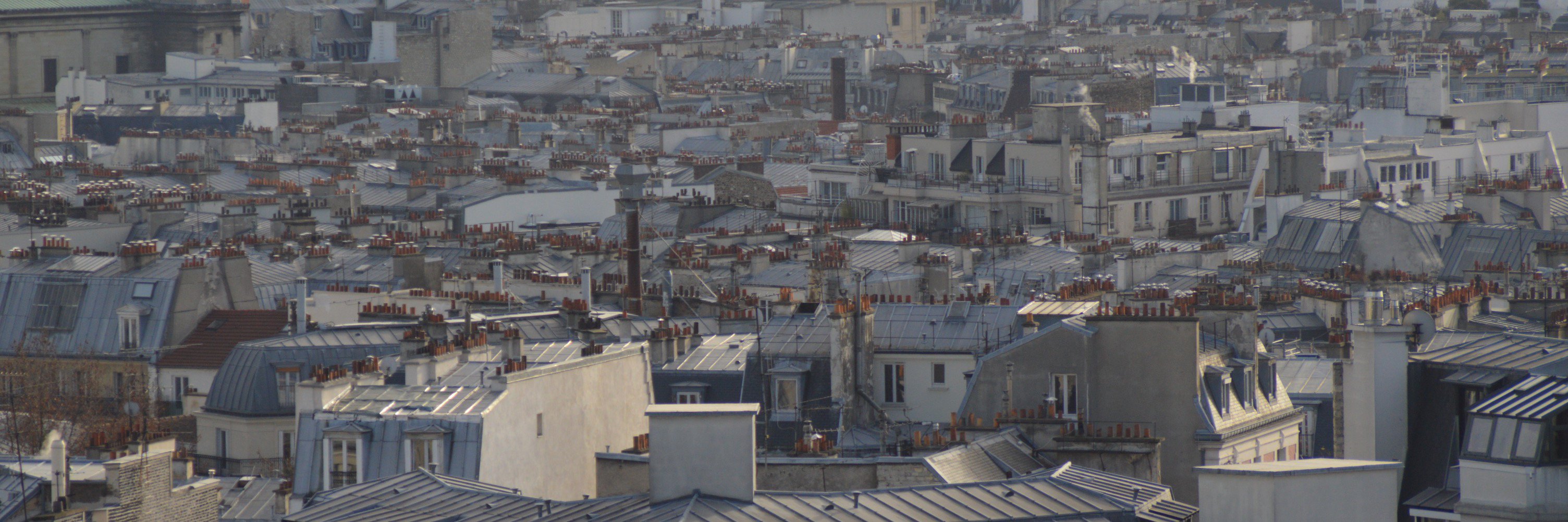 CarolinePansard's profile banner image