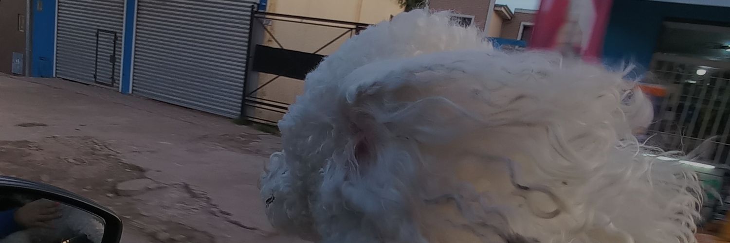micaruifer's profile banner image