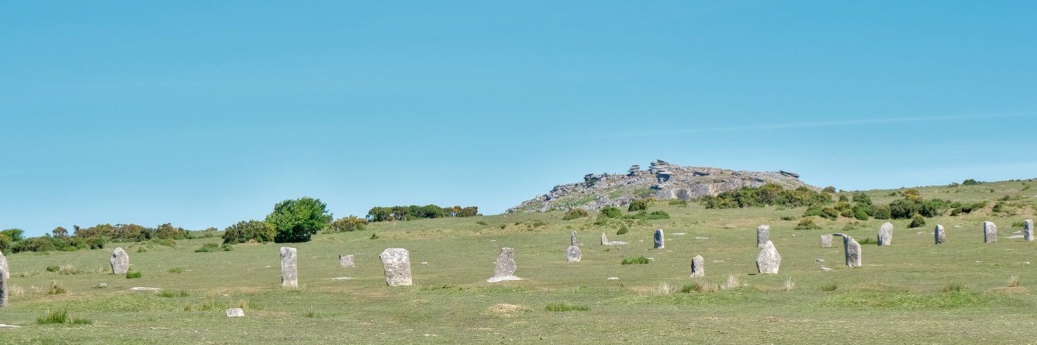 Prof Nicki Whitehouse #madeinsheffield banner