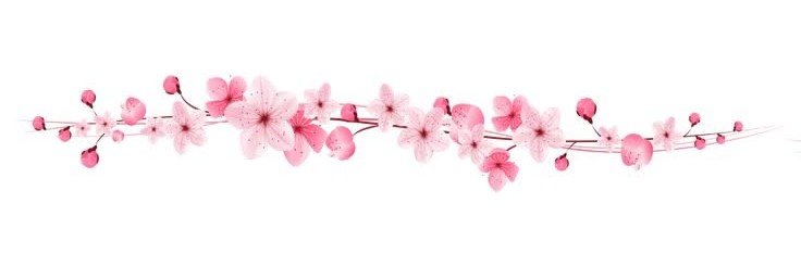 NIDIATERESAMART's profile banner image