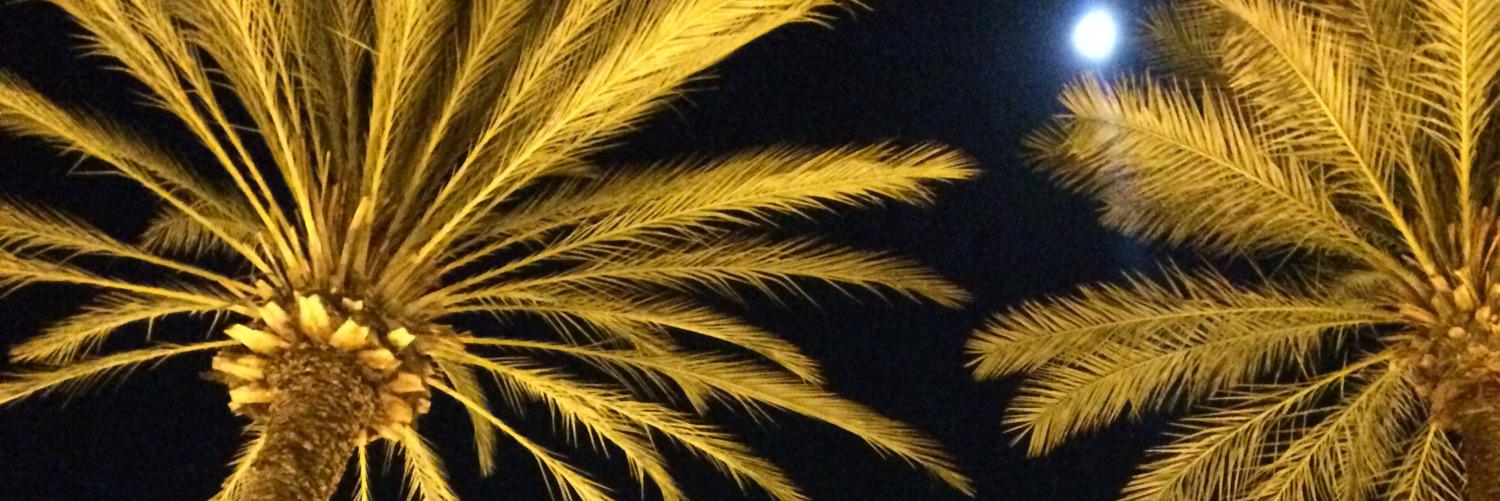 BeckySpigs28's profile banner image