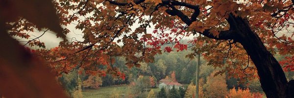 anngelagmillann Profile Banner
