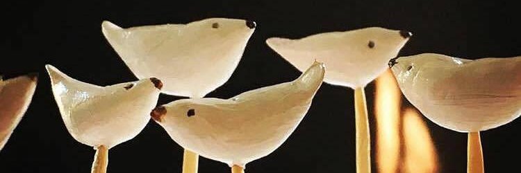 Samantha Swaney banner