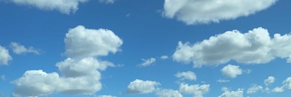 rad_mota's profile banner image