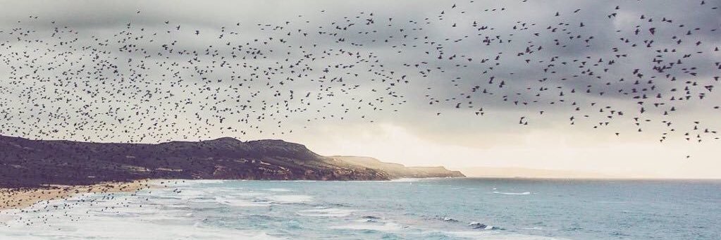 NawafAlSamran's profile banner image
