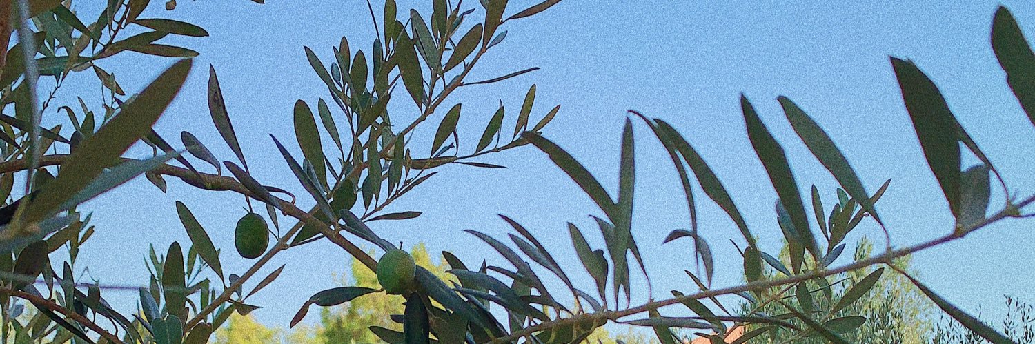dinamanna's profile banner image