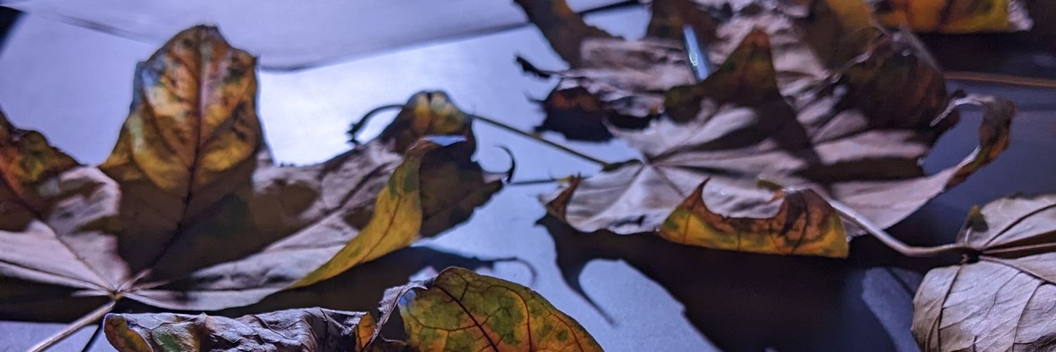 koledgio_'s profile banner image