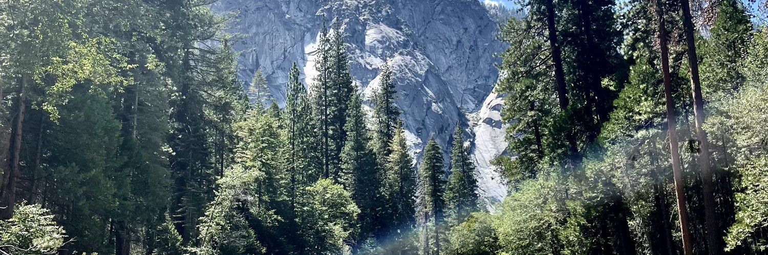TDolgos's profile banner image