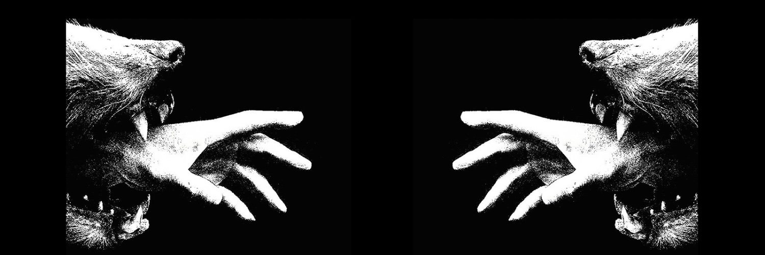 minsungomega's profile banner image