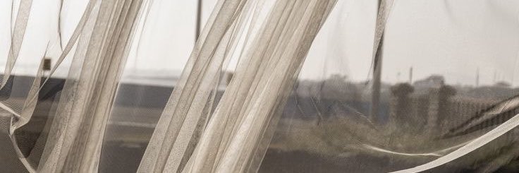 haneipham's profile banner image