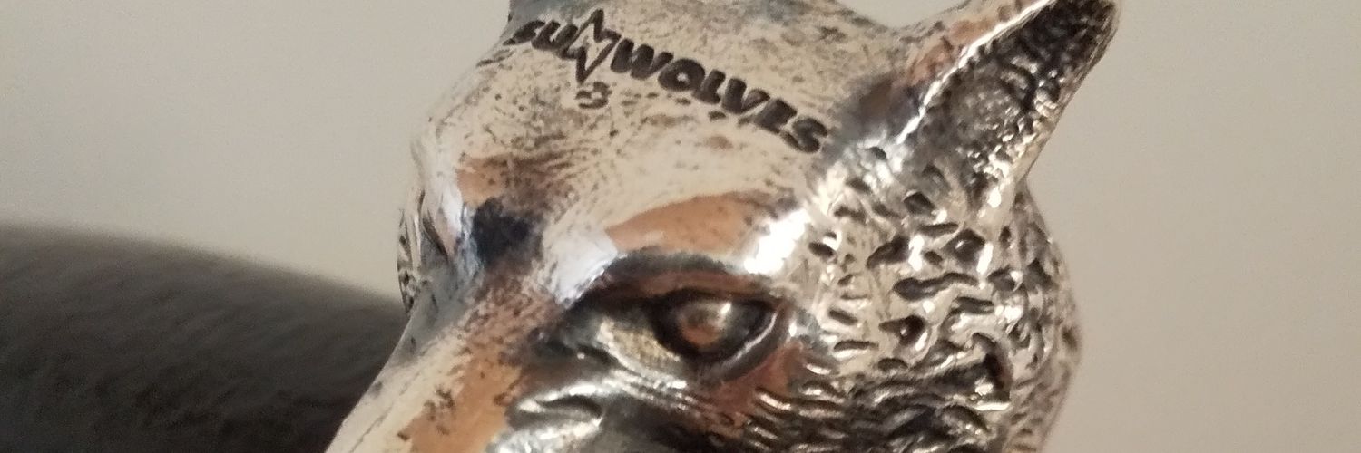 ジョーヴァン banner