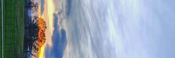 KateliyaBhavin Profile Banner