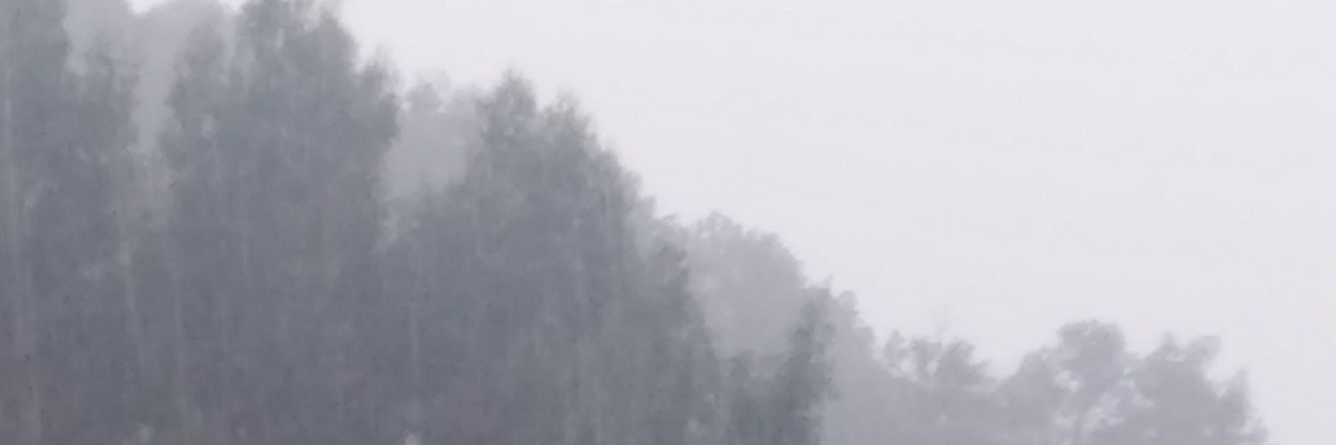 GamboaGr's profile banner image