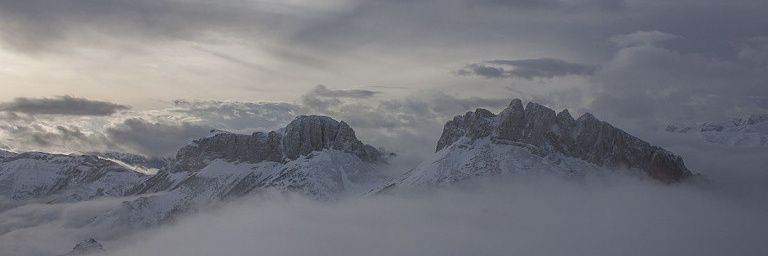 faridosya's profile banner image
