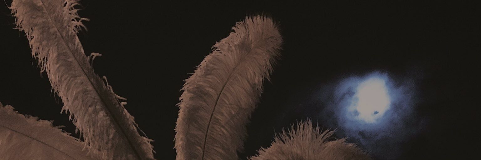 PedroAgus58's profile banner image