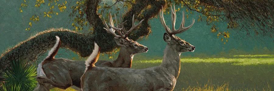 owenregister's profile banner image