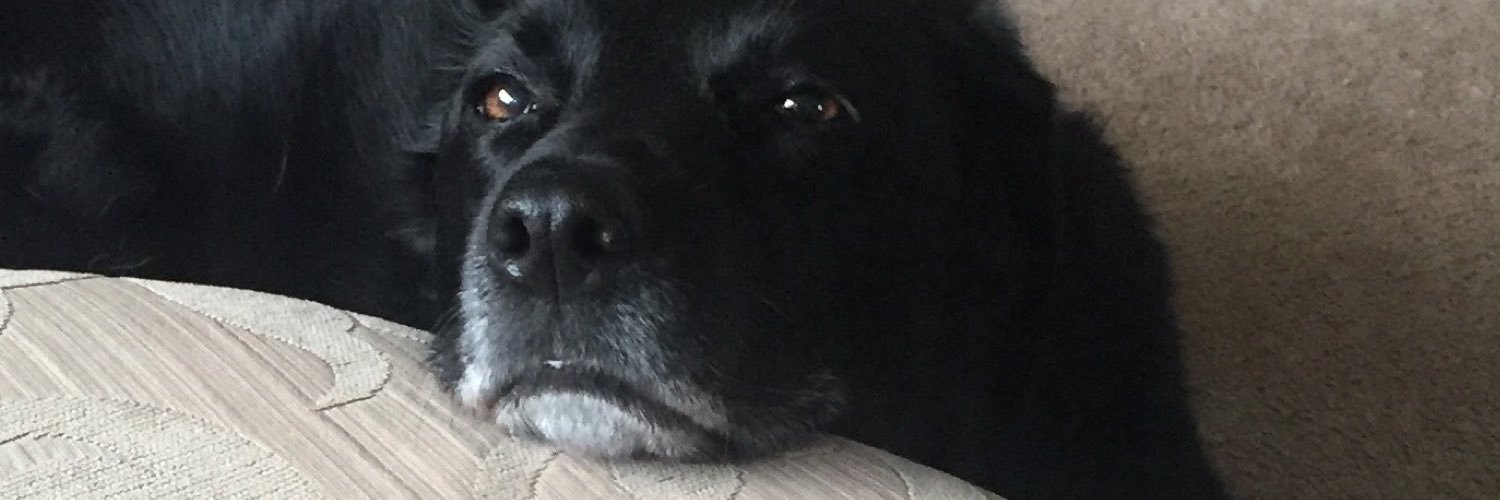 EdHiggins3's profile banner image