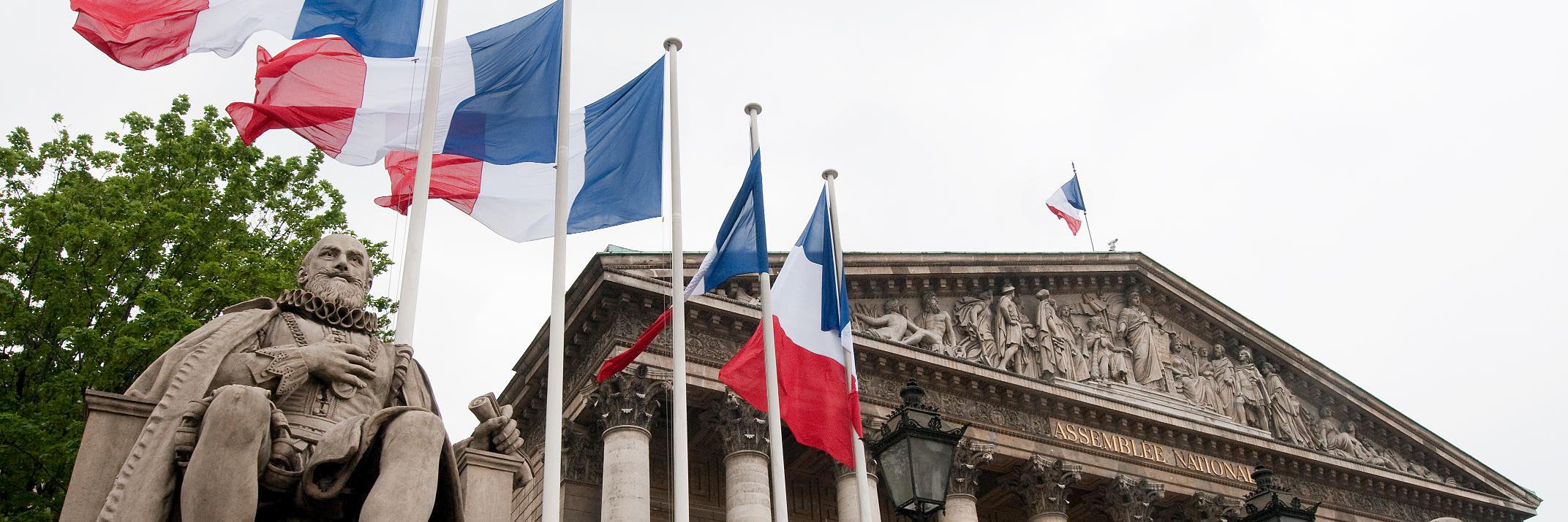Jacques Myard's banner