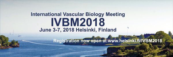 ivbm2018 Profile Banner