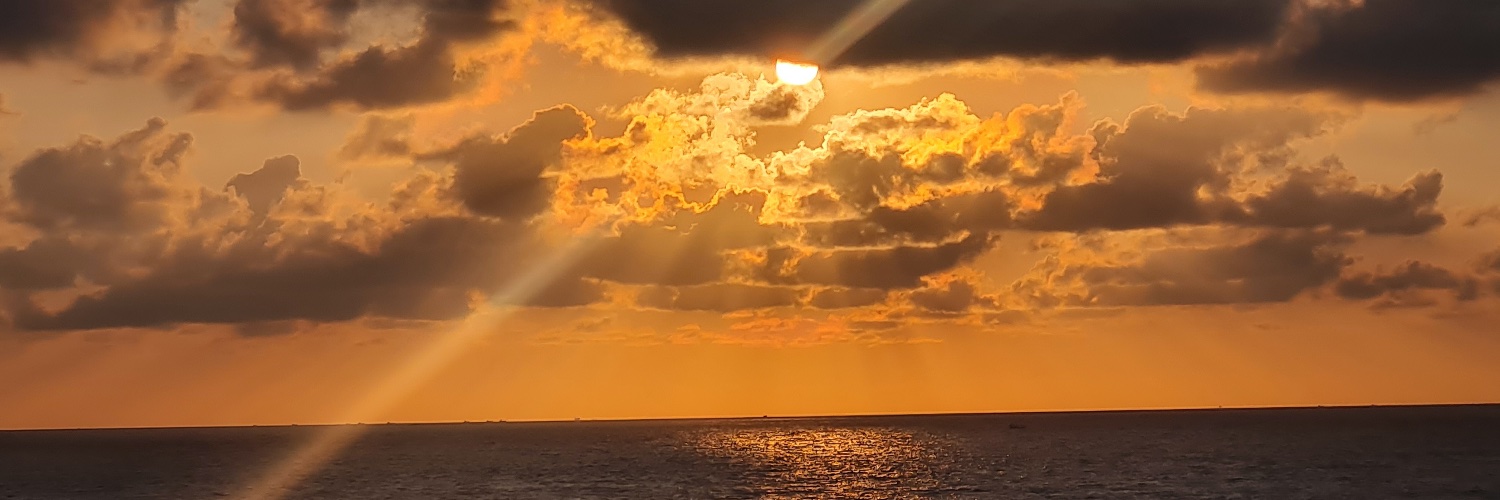 rorathore's profile banner image