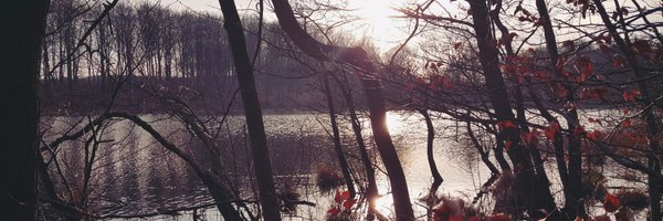 PaulineVerge Profile Banner