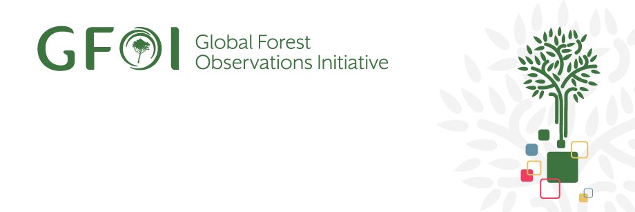 gfoi_forest's profile banner image