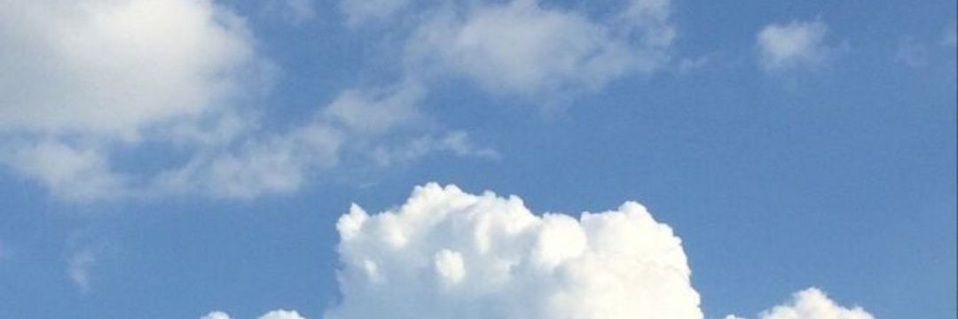 maluleiton's profile banner image