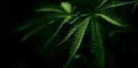 16TOESdown's profile banner image