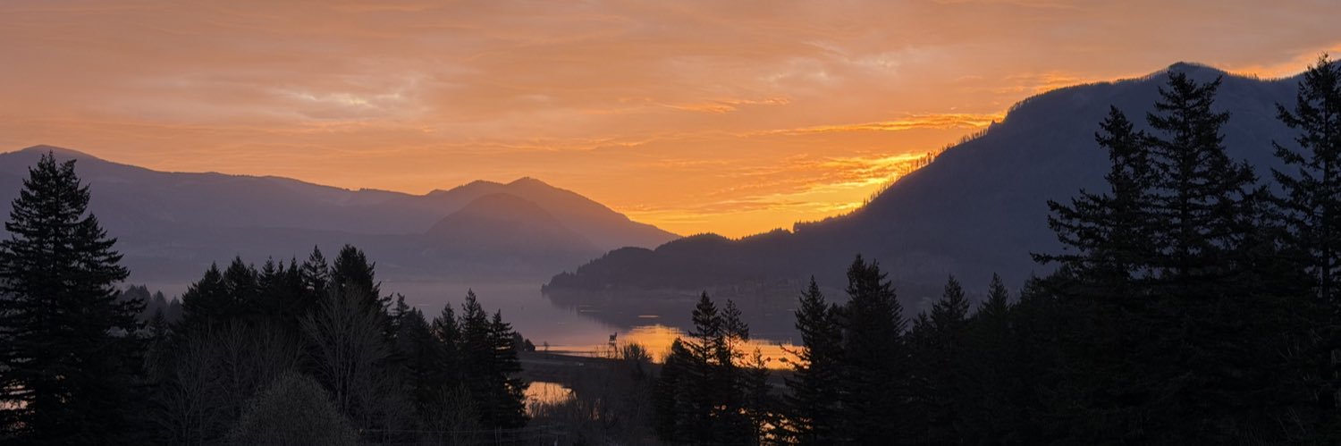 Danielle Morrill banner