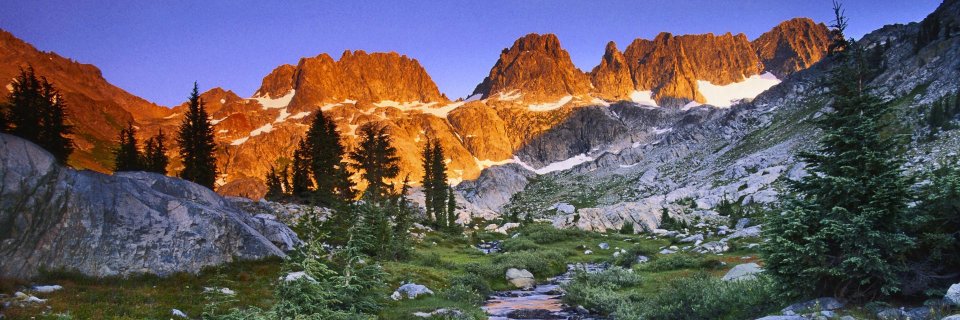 chaaarly's profile banner image