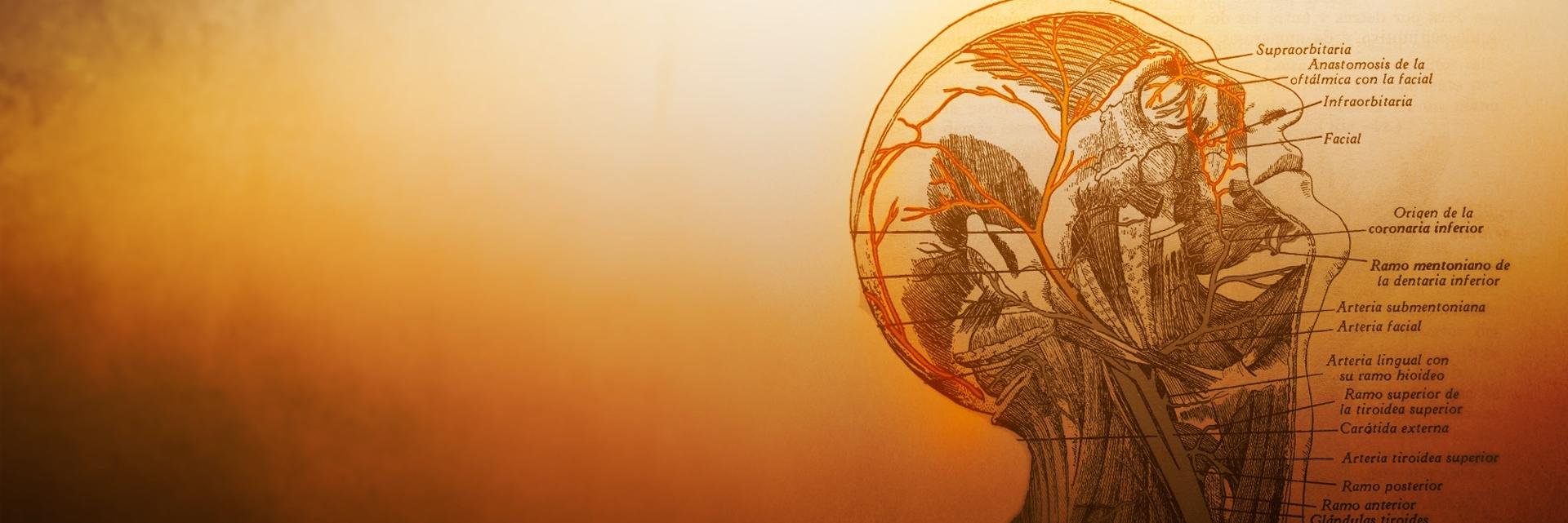 crapeador's profile banner image
