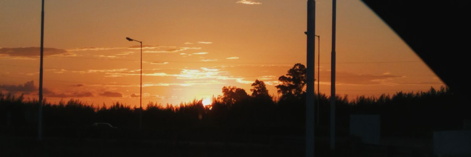 Rocío banner