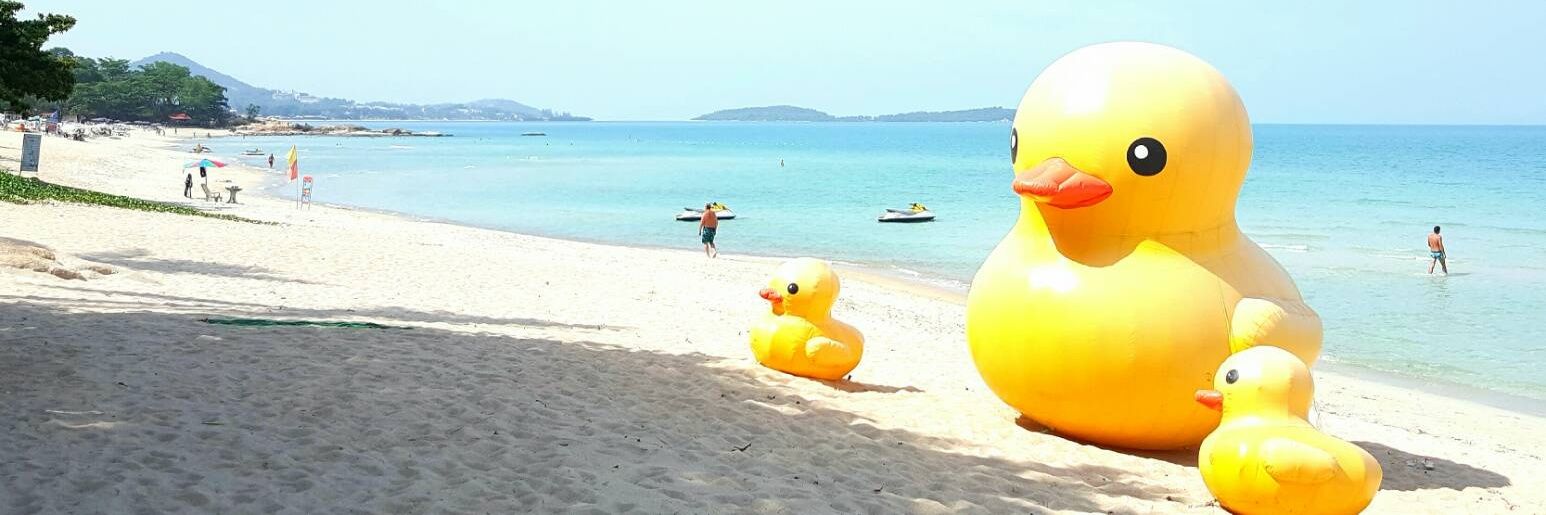 NewStar_Samui's profile banner image