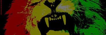 thepurdol's profile banner image